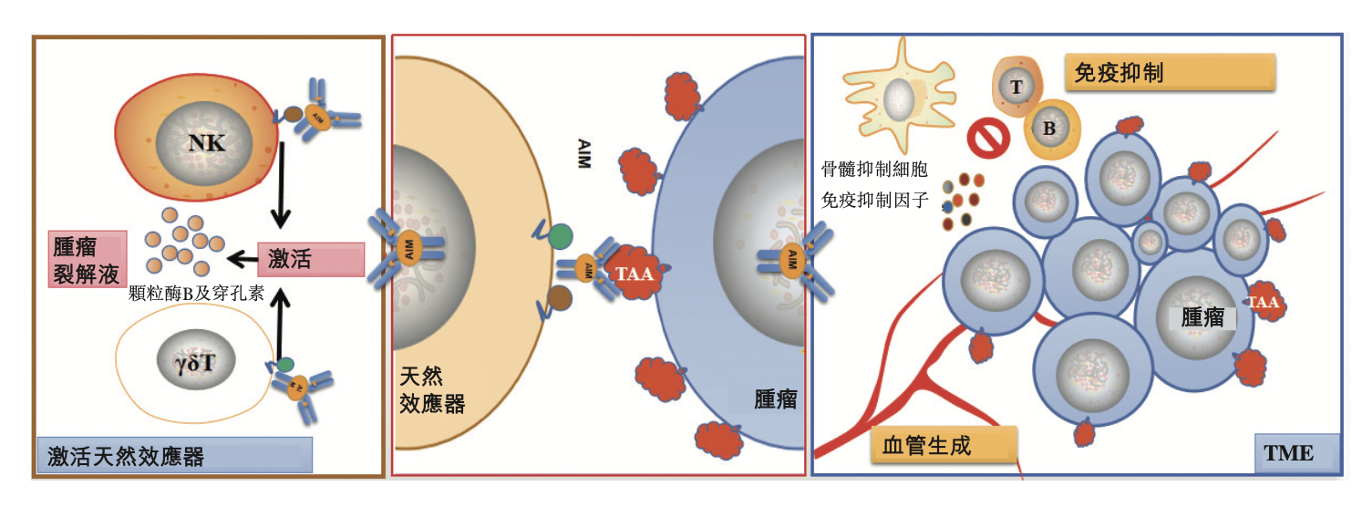 圖片3.png 圖片3.png